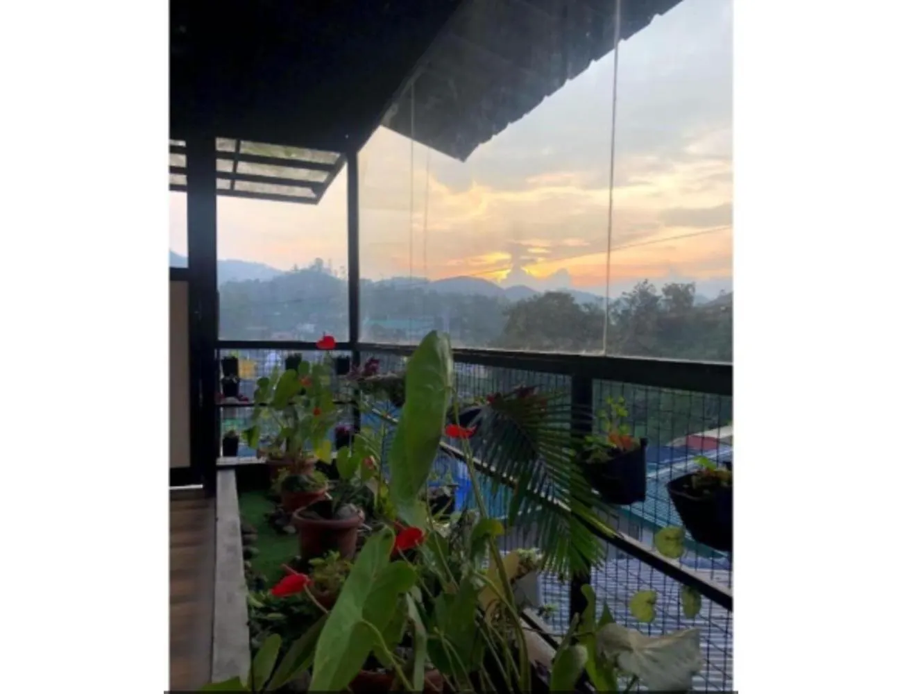 Birdwing Cottage, Munnar 0*,