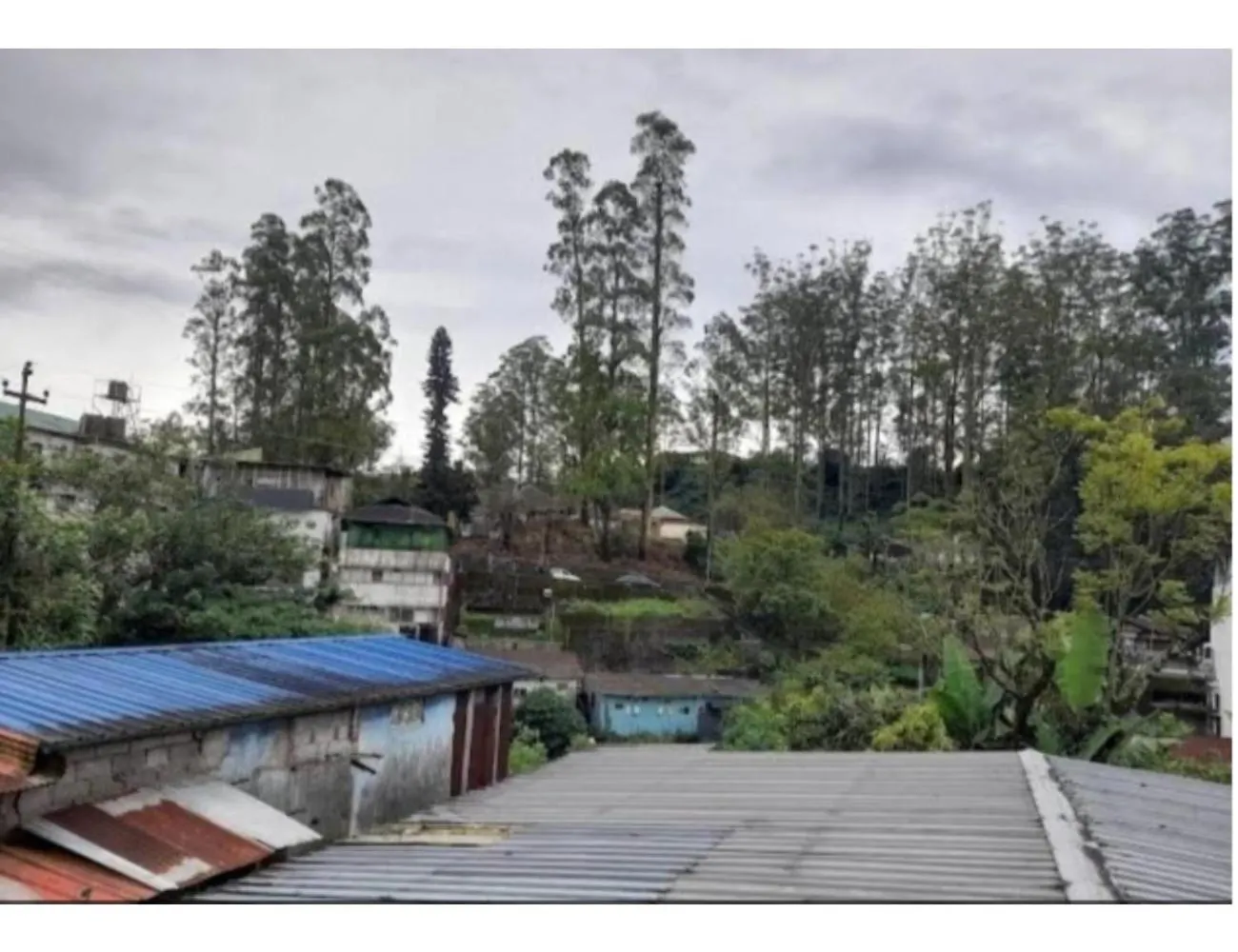 Homestay Birdwing Cottage, Munnar