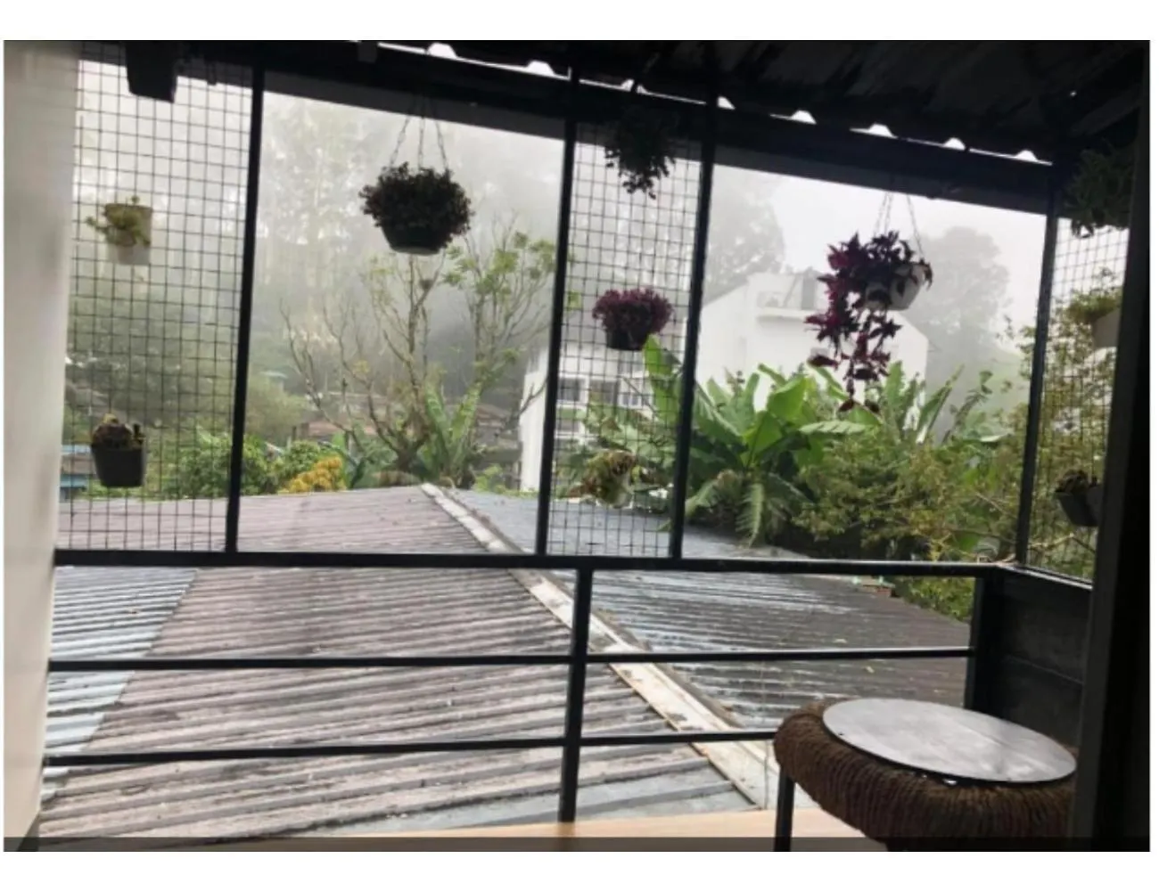 Birdwing Cottage, Munnar 0*,  India