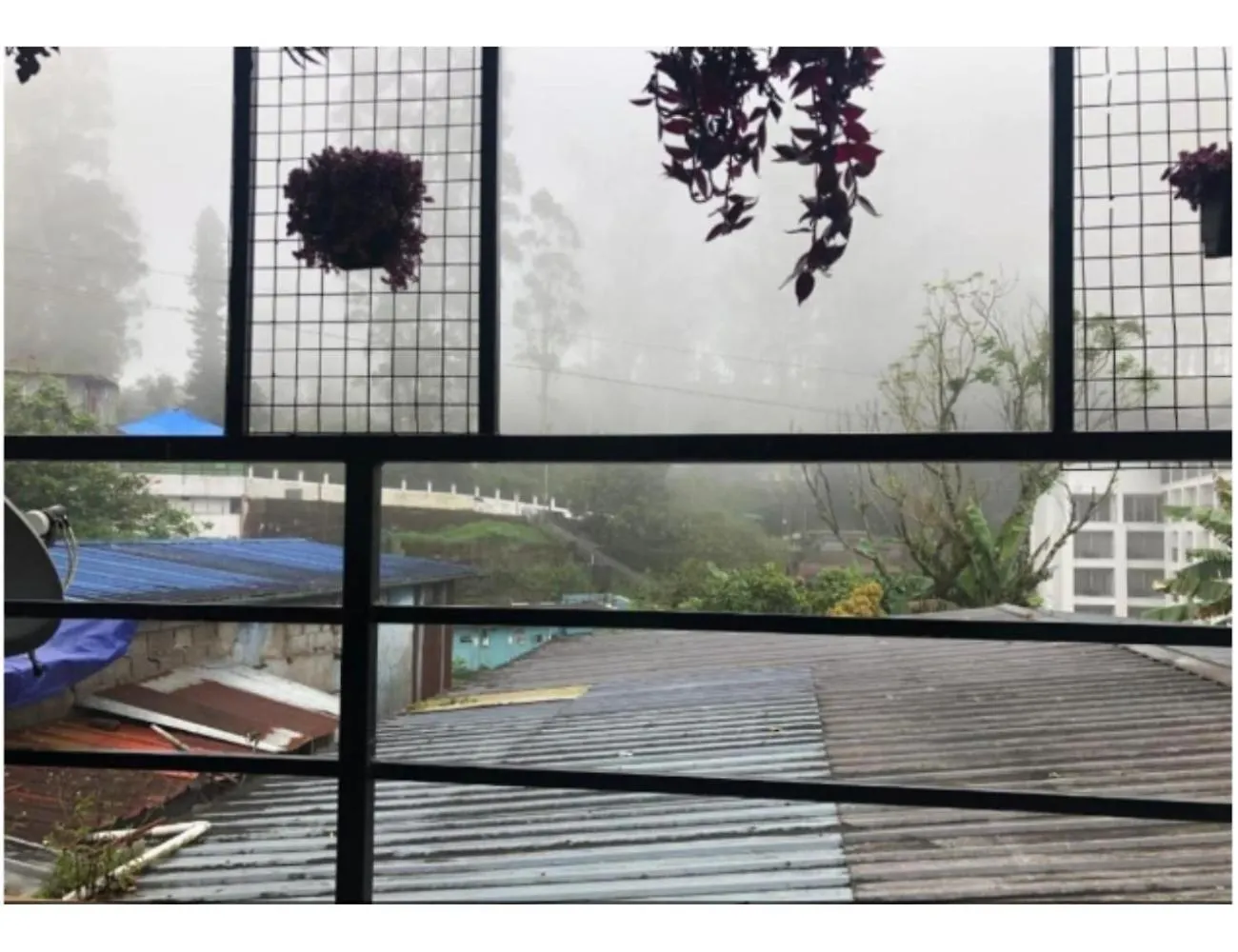Birdwing Cottage, Munnar Homestay