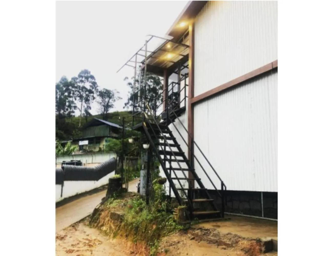Birdwing Cottage, Munnar Homestay