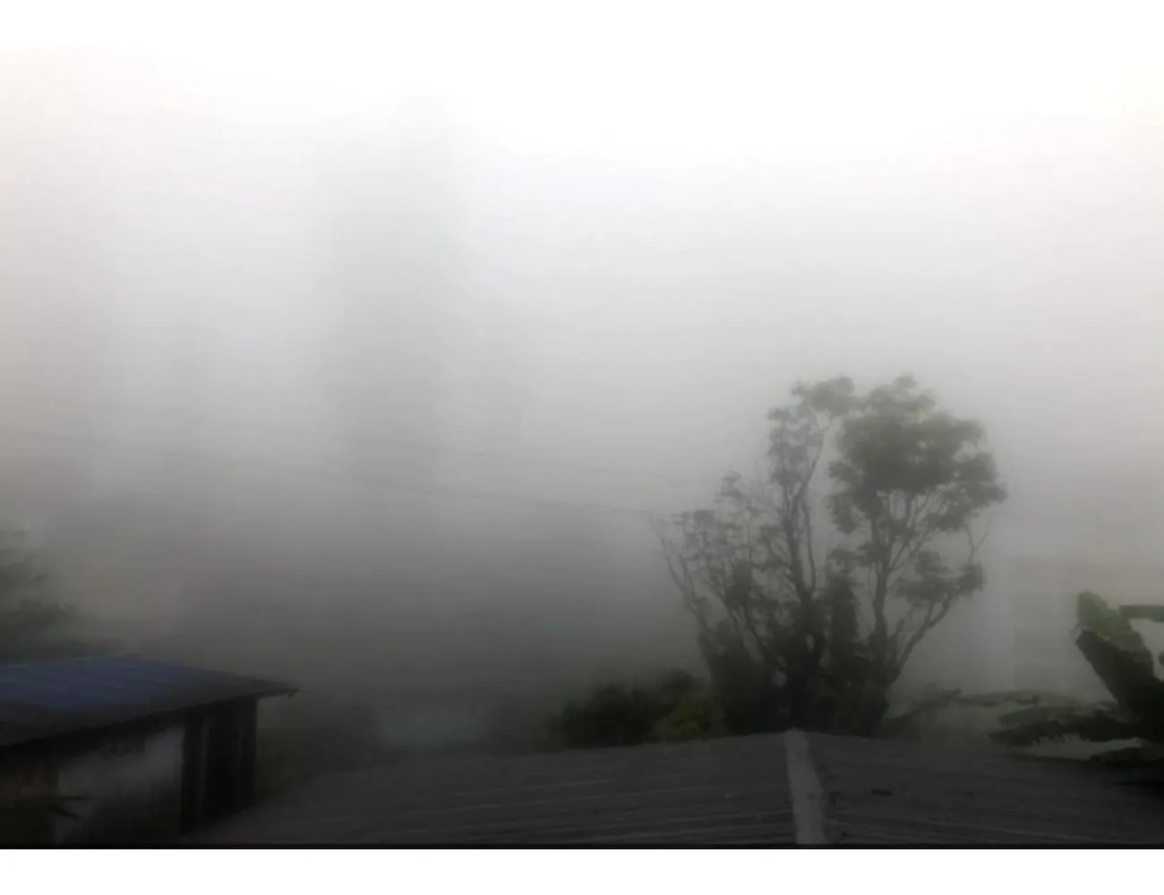 Birdwing Cottage, Munnar