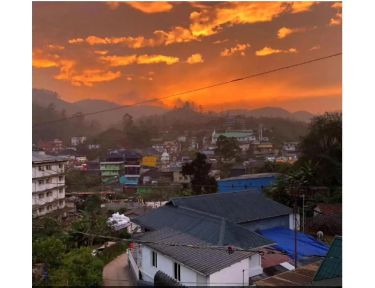Homestay Birdwing Cottage, Munnar