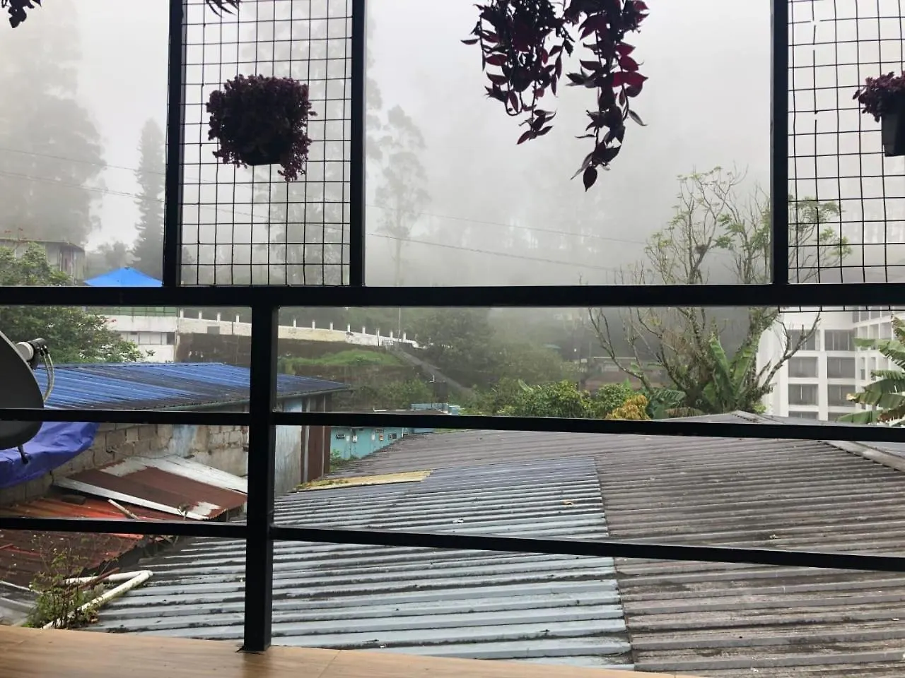 Birdwing Cottage, Munnar 0*,  India